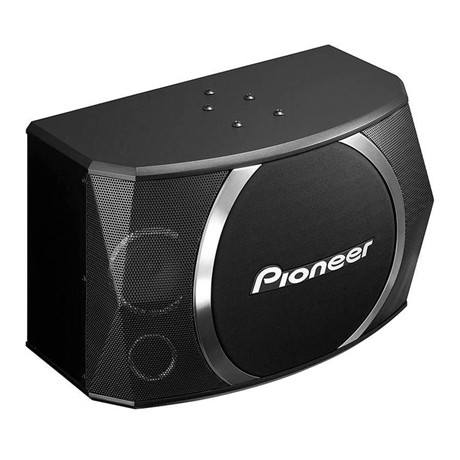 pioneer先锋csx100卡拉ok音箱10寸ktv音响卡包音箱厂家