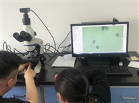 奥林巴斯偏光显微镜CKX31P的服务