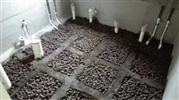 花卉陶粒   保温隔热  疏水透气  重庆生产厂家