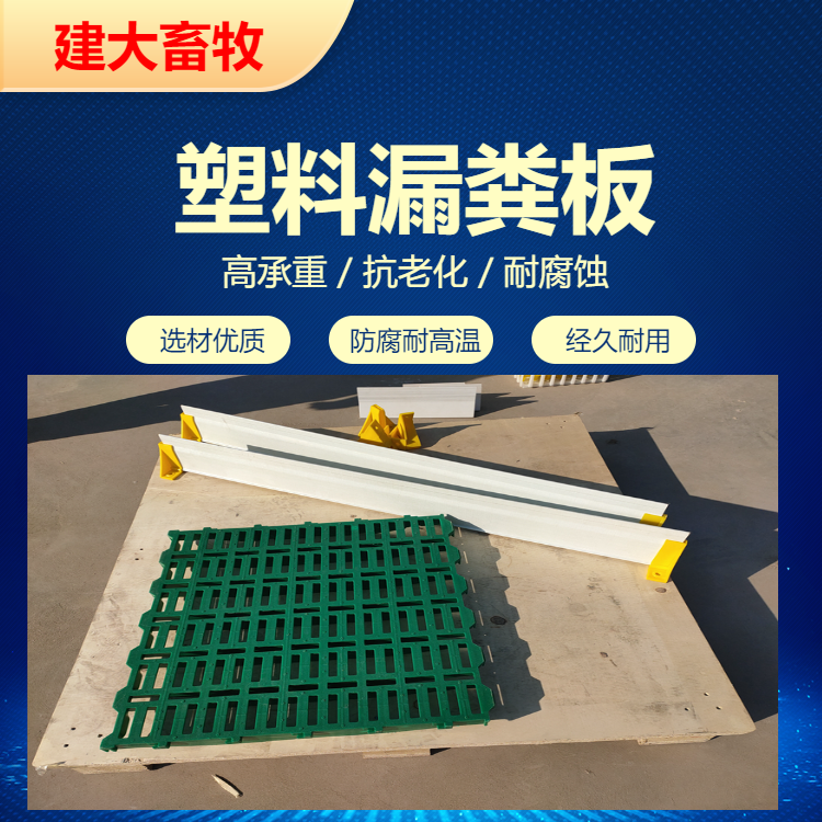 羊舍羊棚用漏粪板狗笼垫脚板结实耐用抗老化羊床
