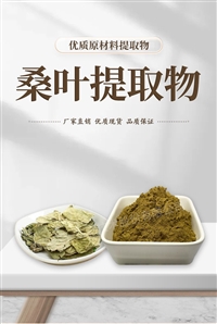 西洋参提取物 总皂甙 5% 20% 80% SC生产商   斯诺特生物