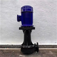 工程塑料污水处理泵 惠沃德WKD-100SP-15可空转直立式化工泵
