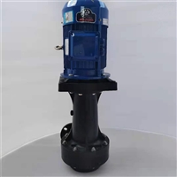立式单级化工离心泵 惠沃德WKD-65SP-5循环式排污泵