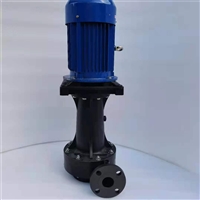 立式工程塑料化工泵 惠沃德WKD-40SP-3循环水污水处理泵