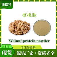 核桃肽99%500Da 胡桃小分子低聚肽  水溶粉末  斯诺特生物