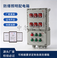 220V380V防爆动力配电箱63A100A160A320A华荣同款应急照明控制箱 