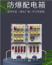 防爆配电箱生产厂家批发BXM53-10K照明动力控制箱 化工制药厂使用