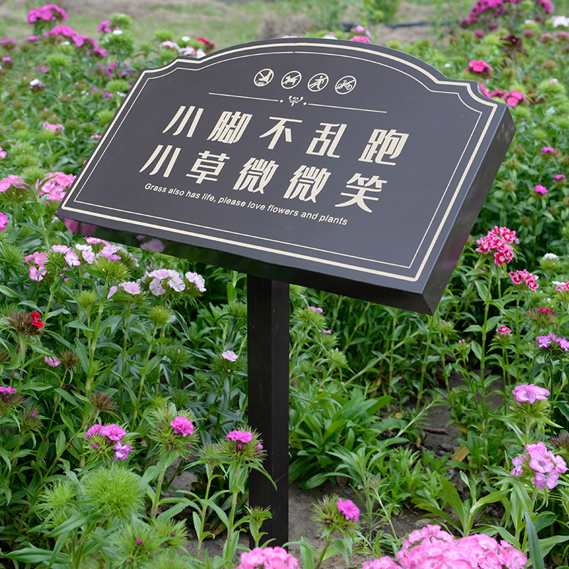 室外花草提示牌草坪不锈钢定制
