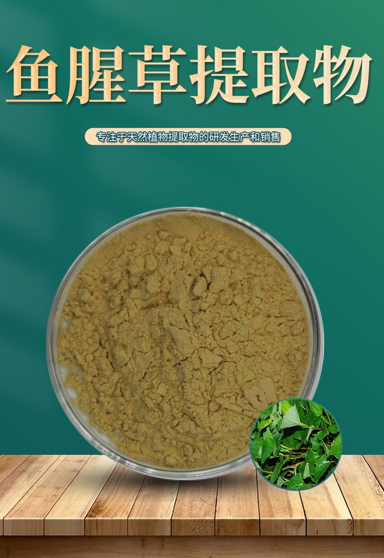 鱼腥草粉鱼腥草提取物水溶浓缩粉折耳根提取物sc厂100目粉
