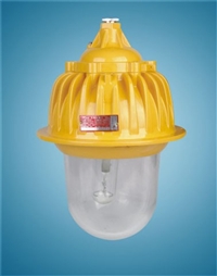 BPC8710防爆平台灯  BXS8050防爆防腐电源插座箱