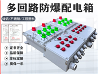 多回路防爆照明配电箱220V380V印染化工厂 粉尘隔爆车间动力控制柜