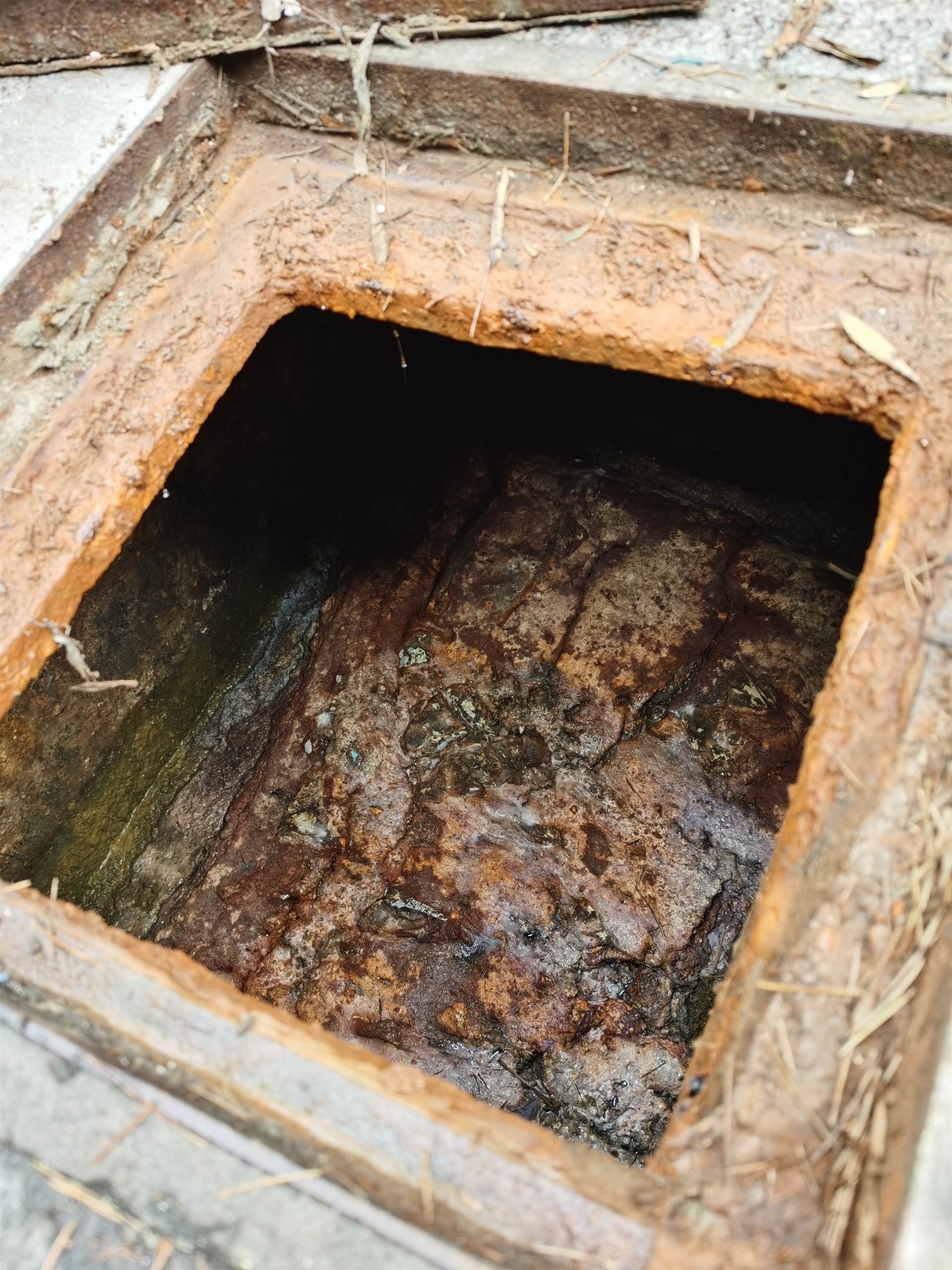 我国一拖特专助力村庄“农文旅商”高质量交融开展