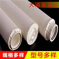 大流量折叠滤芯20寸40寸60寸保安过滤器 大通量滤芯