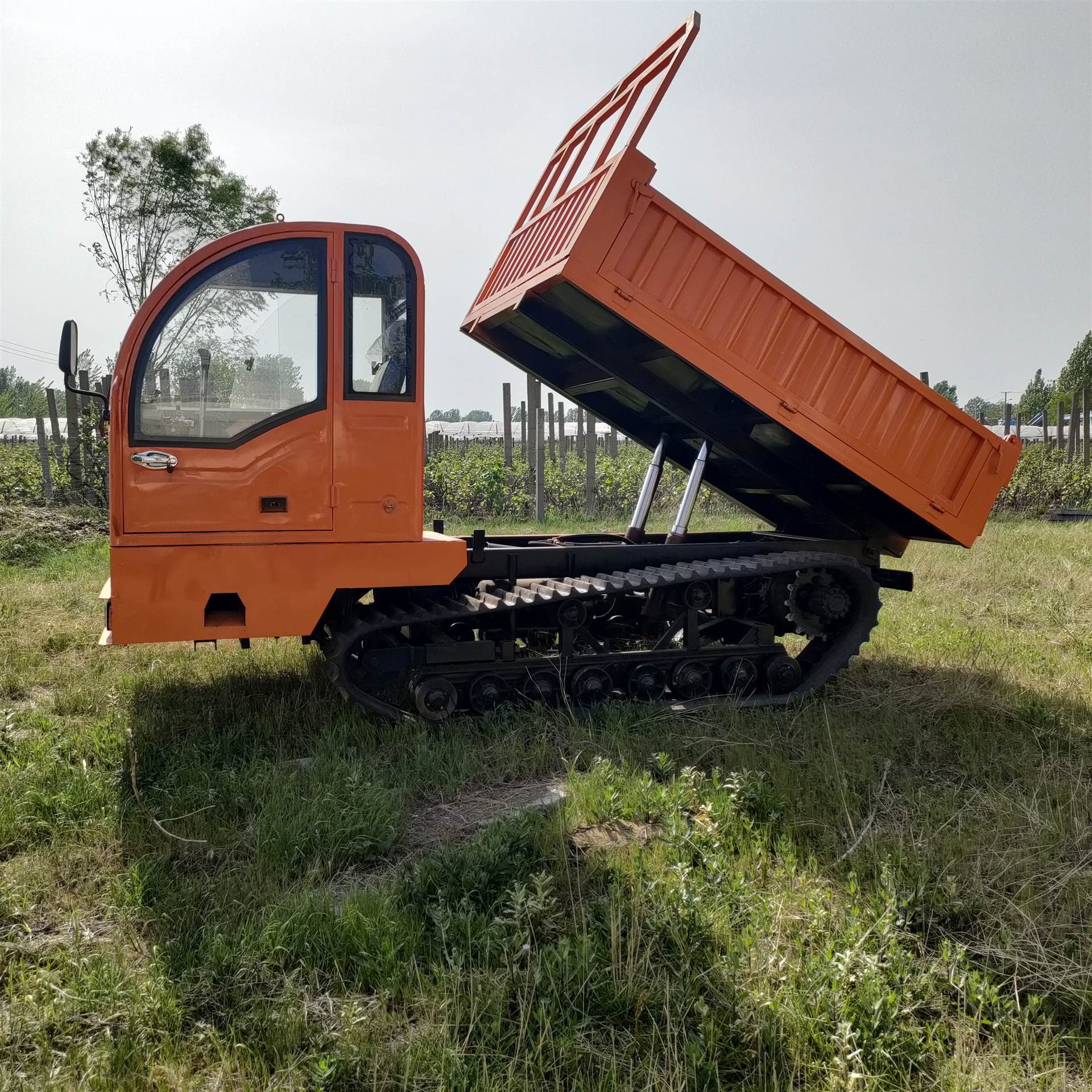 履帶運輸車工程翻鬥爬山虎搬運車