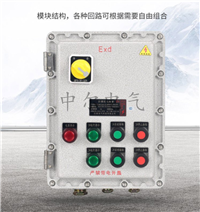 BXMD粉尘防爆动力照明配电箱 监控触摸屏按键开关箱 电源仪表柜子