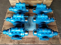 螺杆泵 ZNYB01022502低压螺杆泵