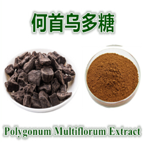 何首乌粉  可定制 斯诺特生物 何首乌提取物粉  80目粉末  水溶