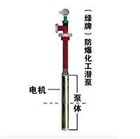 防爆化工泵 液下正推原理 无气阻气蚀零区Ga BT4防爆地下罐专用泵