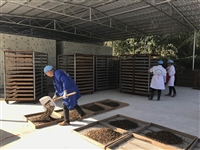 食用菌烘干机设备小型