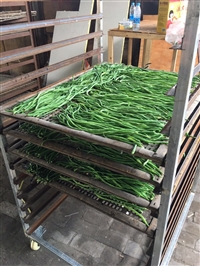 定做豆角烘干机 缸豆干燥设备 自动控温控湿 颜色保障 智能省电