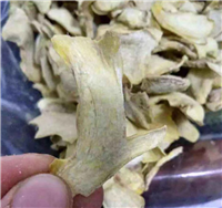 守恒定做大小型土茯苓烘干机 土茯苓烘干设备  土茯苓烘干房  