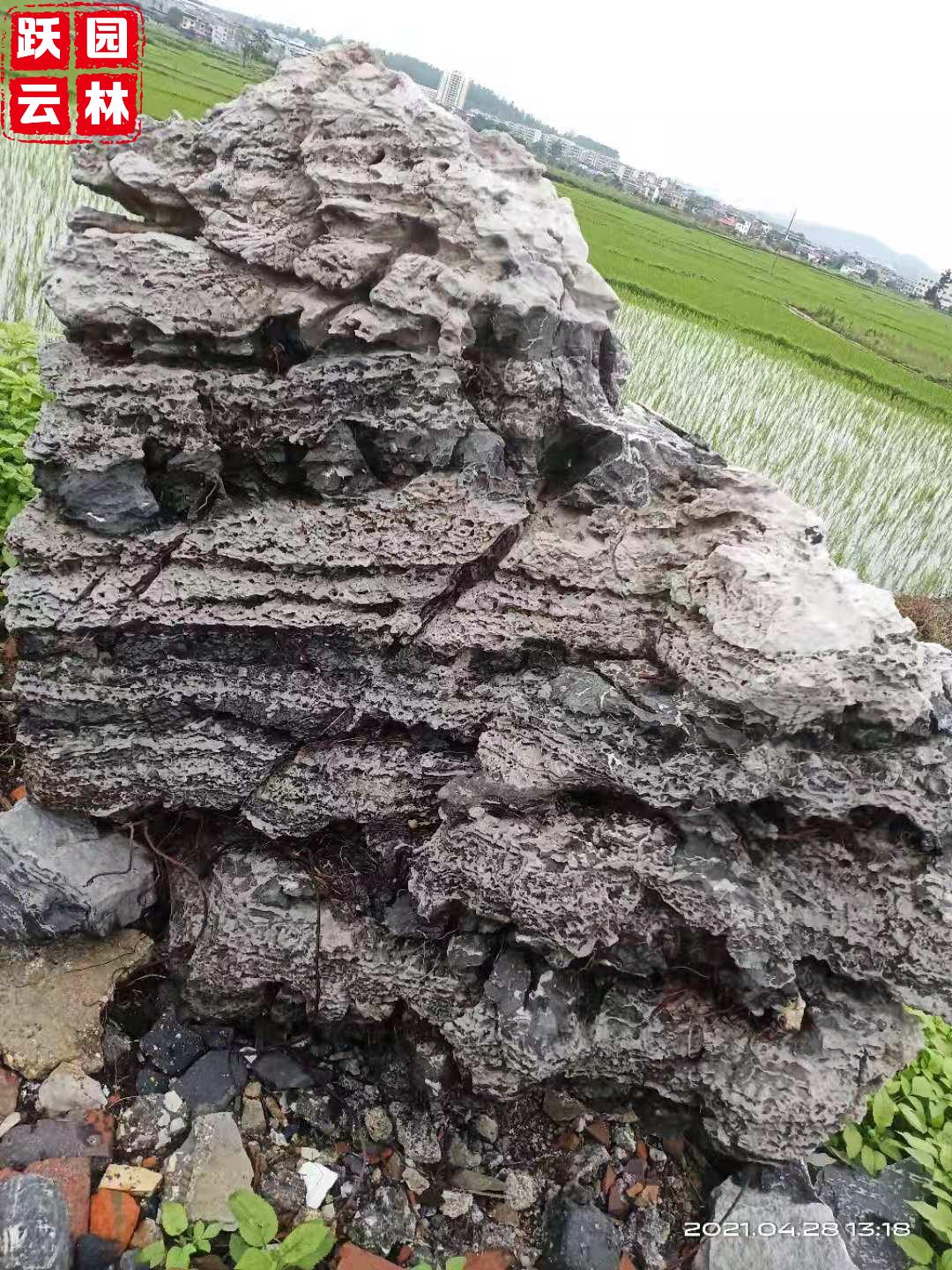 云雾石景观石公园风景石精品独石云雾石图片校园云雾石置景石