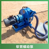 新疆阿克苏工业立式软管泵压力