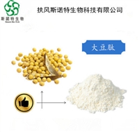 大豆肽 水溶大豆低聚肽 大豆多肽 酶解小分子肽 500道尔顿 斯诺特