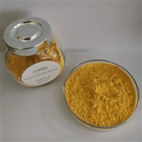 沙棘提取物 沙棘粉 99%  供应速溶果粉 源头供应  SC厂 备案