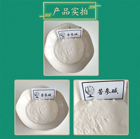 苦参碱98% 苦参提取物 苦参总碱 工厂 水溶  可定制 斯诺特生物