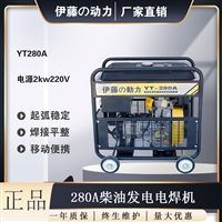 小型便携式柴油发电焊机YT280A