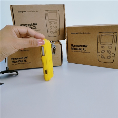 加拿大BW扩散式MCXL-4四合一检测仪 GasalertMicroClip XL