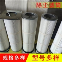 工业聚酯纤维除尘滤筒 单通双通除尘滤筒 量大价优