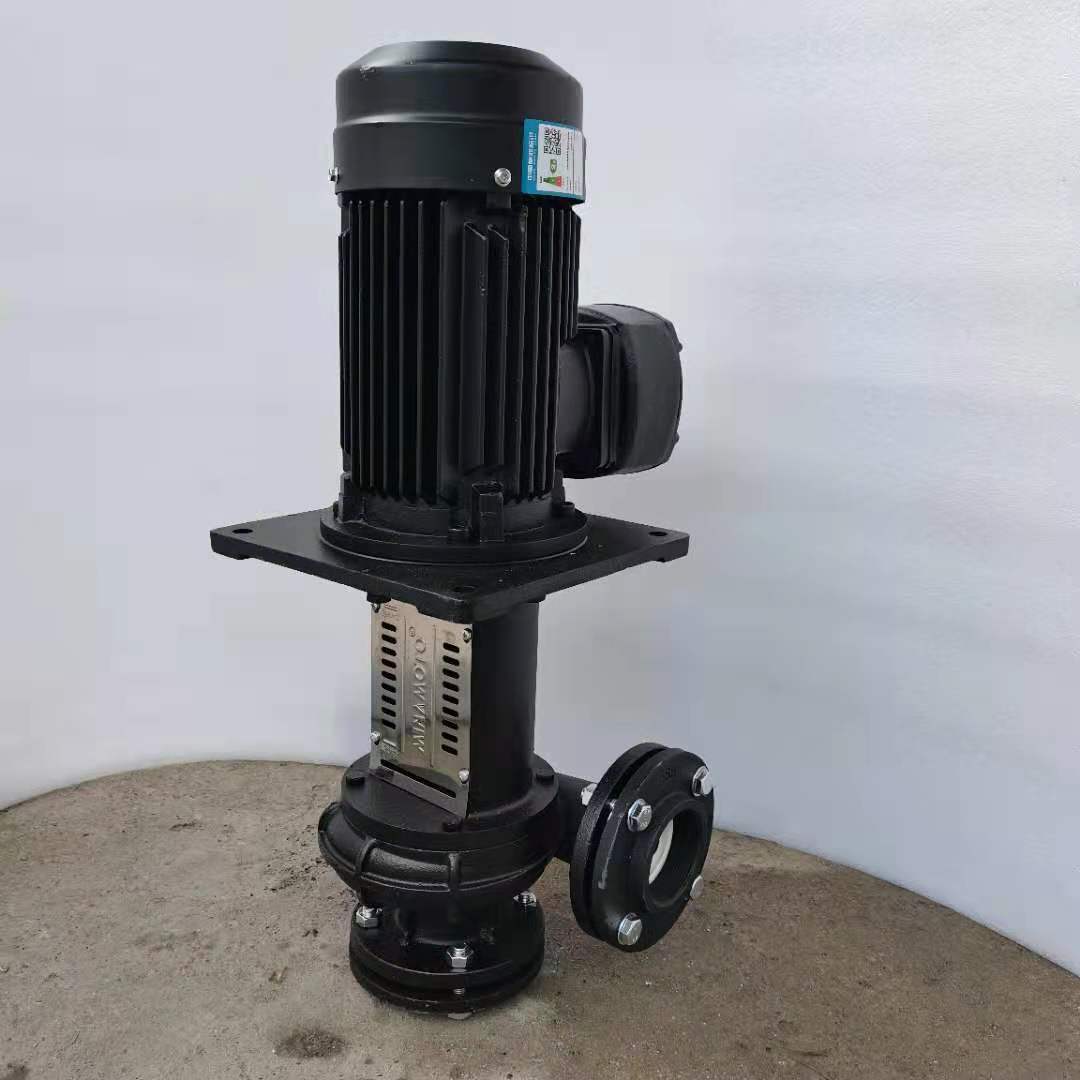 无轴封涂装设备液下泵惠沃德ylx45065立式铸铁增压循环泵