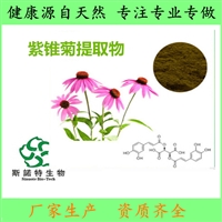 紫锥菊提取物   含多酚   水溶性 紫锥菊粉可定制  斯诺特生物