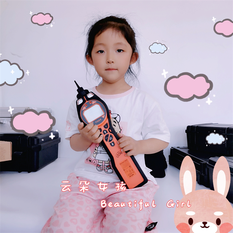 PCT-LB-04 PCT-LB-00 PCT-LB-24 英国离子voc检测仪 手持voc检测仪 数据型