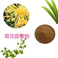 菊花提取物10：1 多规格可定制 浸膏粉 喷雾干燥 沃特莱斯