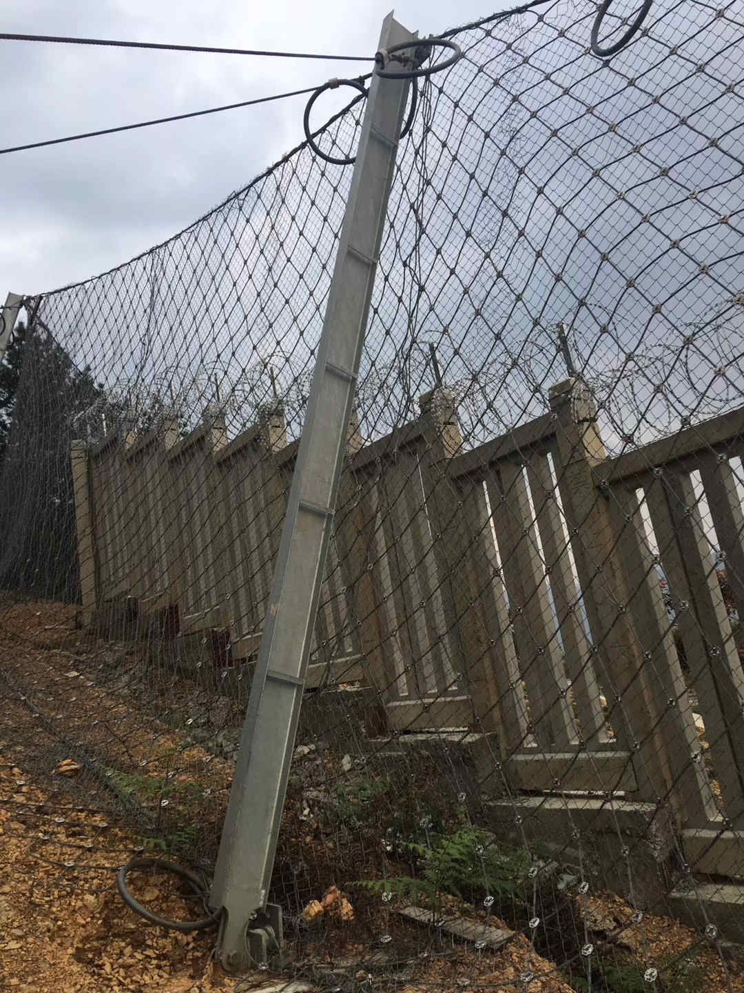 PG电子APP下载 - 官方正版，安全无忧张鹏调研督导森林草