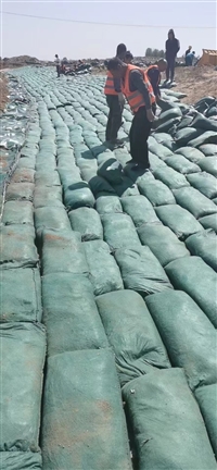 沙漠绿化 湖海岸工程用草籽生态袋 植生袋