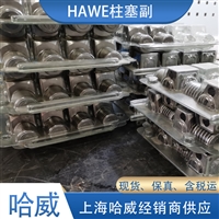 哈威PE 6/7/8/10/13/14/15柱塞副德国HAWE泵配件