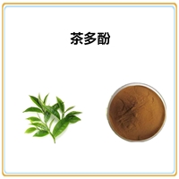 沃特莱斯生物 茶多酚98% 绿茶提取 棕色粉末 可定制