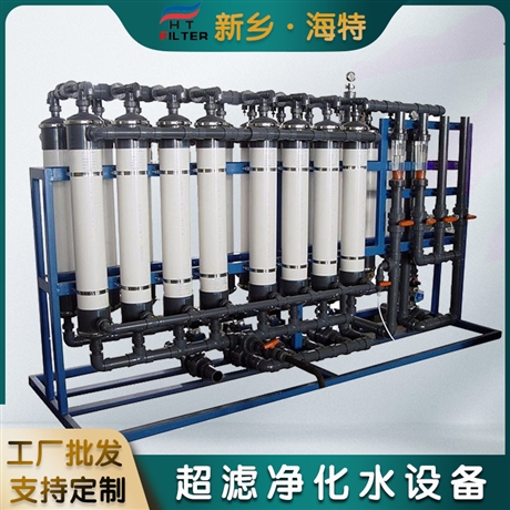 海特滤器 超滤纯水处理设备 热敏性物质 保留微量元素