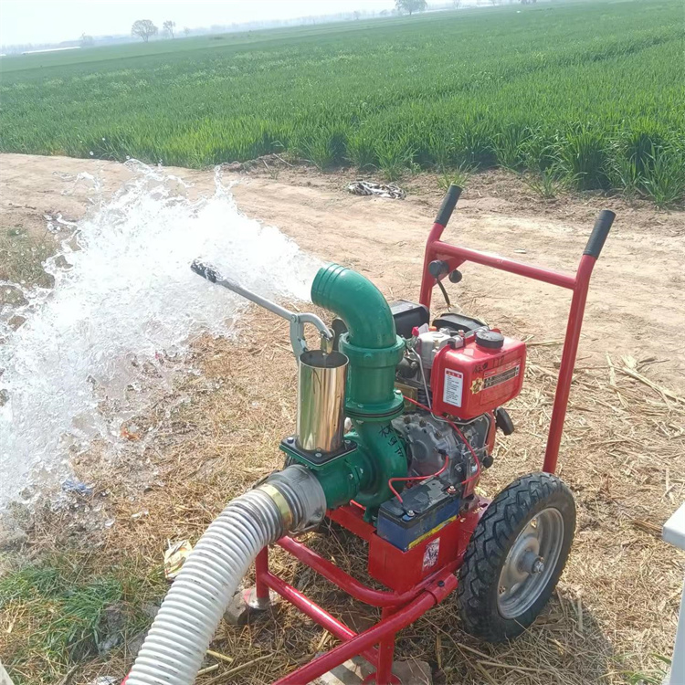 汽油抽水泵 二冲程汽油机自吸水泵 园林花草灌溉抽水机-搜了网