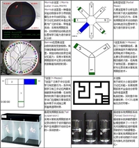 动物行为学视频分析系统 动物行为学实验室 动物行为学分析软件