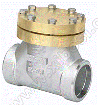 承插焊低温止回阀 低温止回阀