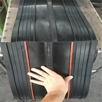 新闻资讯：驻马店钢板丁基橡胶腻子止水带2022已更新经销商售卖