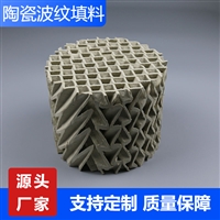 天津350Y陶瓷波纹填料吸收塔群星化工