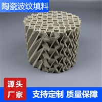 天津250Y波纹陶瓷填料吸收塔群星化工