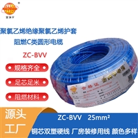 金环宇电线ZC-BVV-25mm2阻燃双股铜芯电线 可剪米