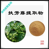 扶芳藤提取物 棕色粉末 浸膏粉 可水溶 沃特莱斯生物